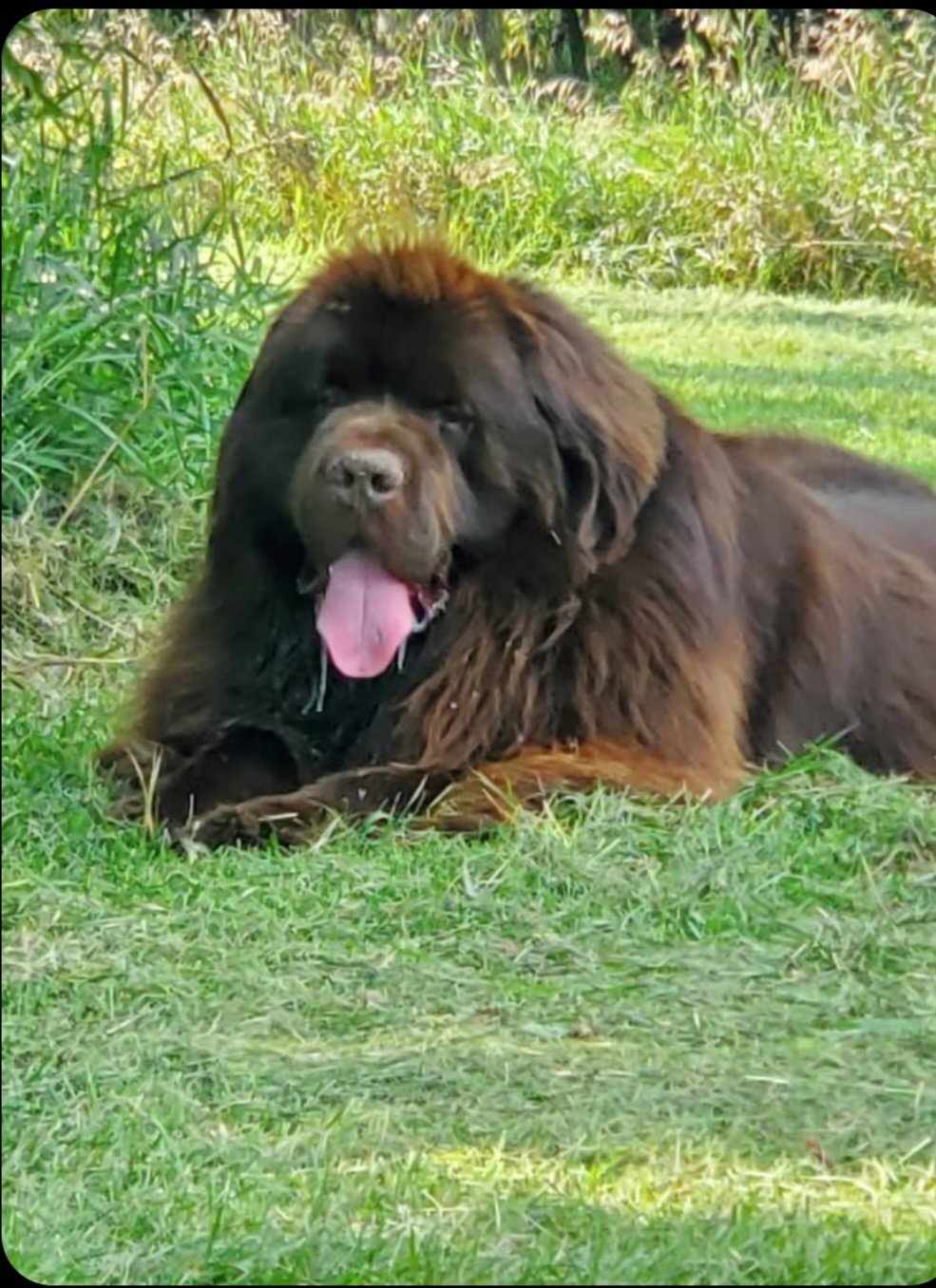 472005728 478971434877392 8329310906071988781 n