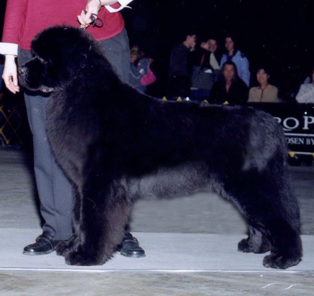 492481493 2709044279293036 4287433845582500327 n