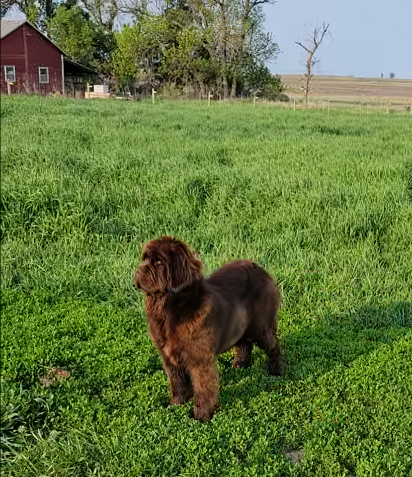 screenshot 2026 03 27 164918